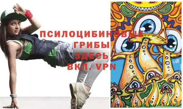 СК Надым