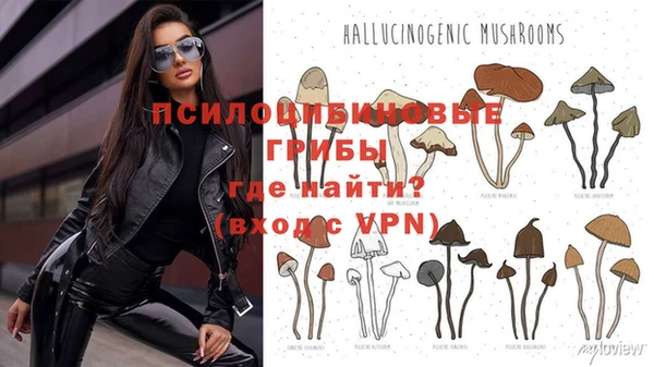 бошки Новодвинск