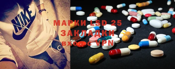 трава Новозыбков