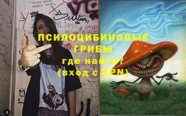 PSILOCYBIN Елабуга