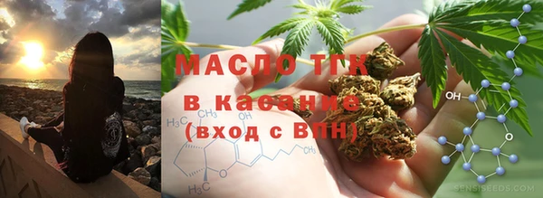 гидра Дубна