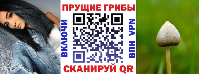 Галлюциногенные грибы Cubensis Карабаш